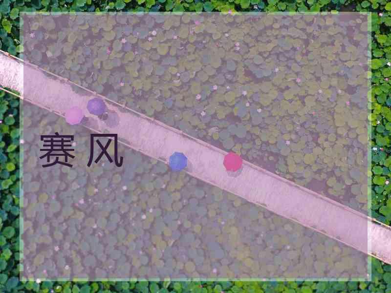 赛 风