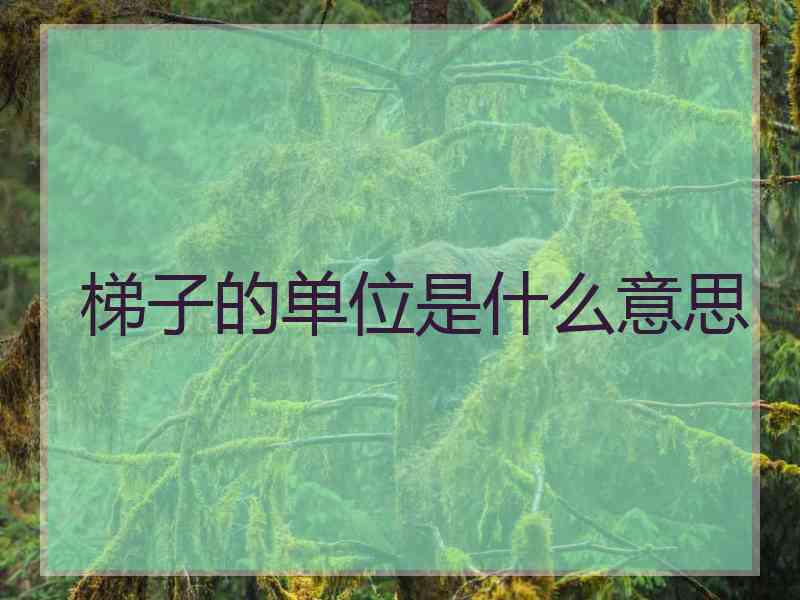 梯子的单位是什么意思