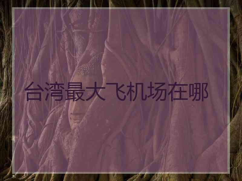 台湾最大飞机场在哪