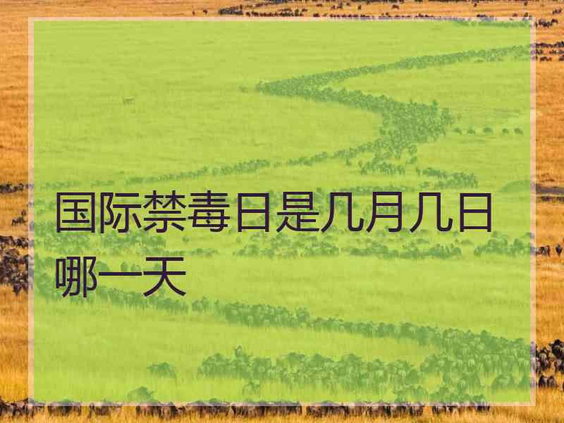国际禁毒日是几月几日哪一天