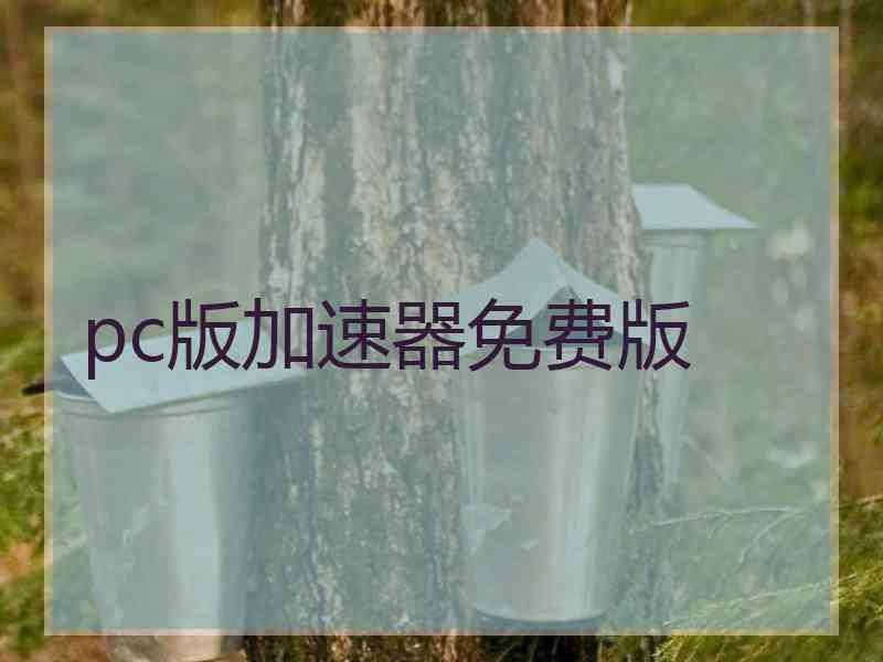 pc版加速器免费版