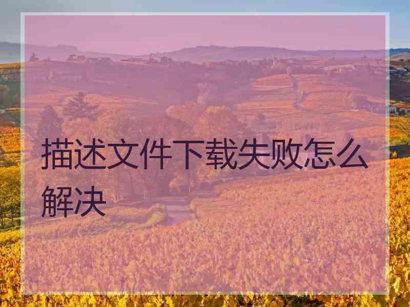描述文件下载失败怎么解决