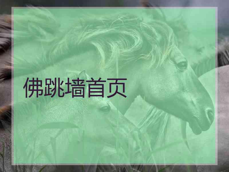 佛跳墙首页