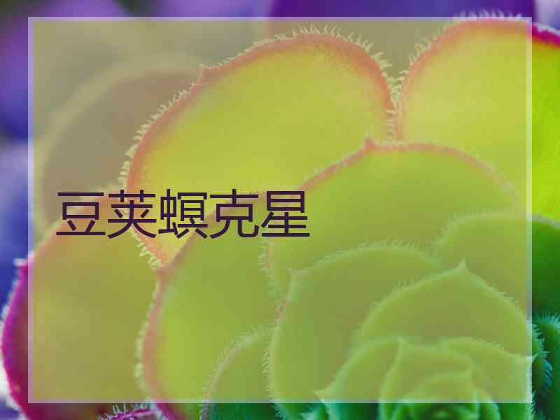 豆荚螟克星