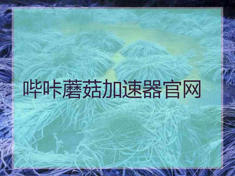 哔咔蘑菇加速器官网
