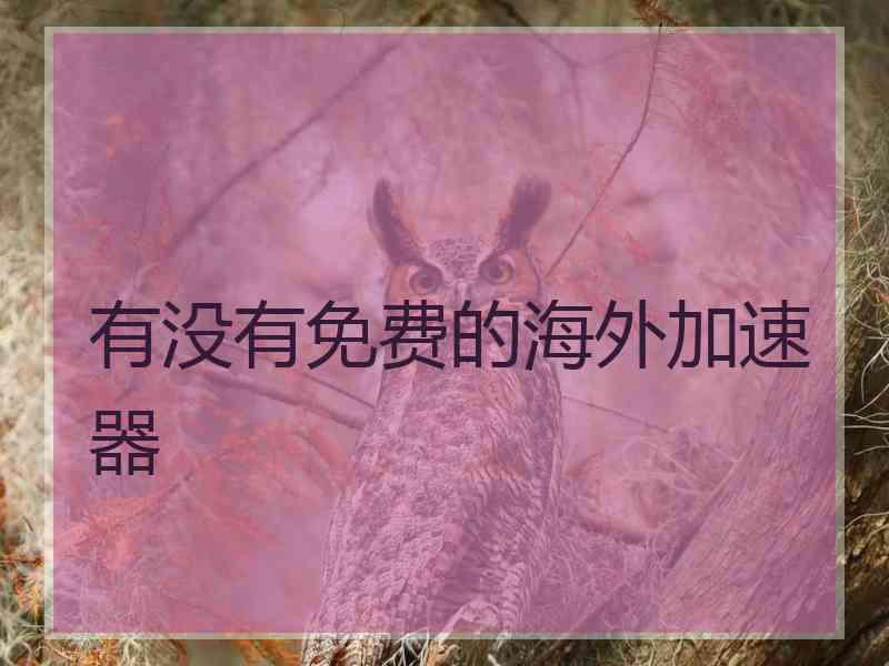 有没有免费的海外加速器