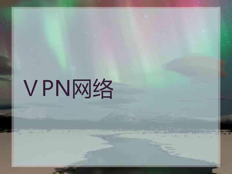 ⅤPN网络