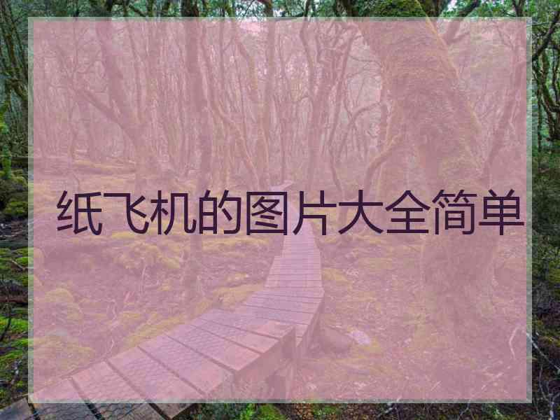 纸飞机的图片大全简单