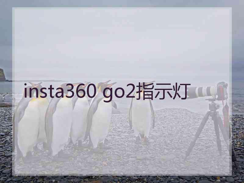insta360 go2指示灯