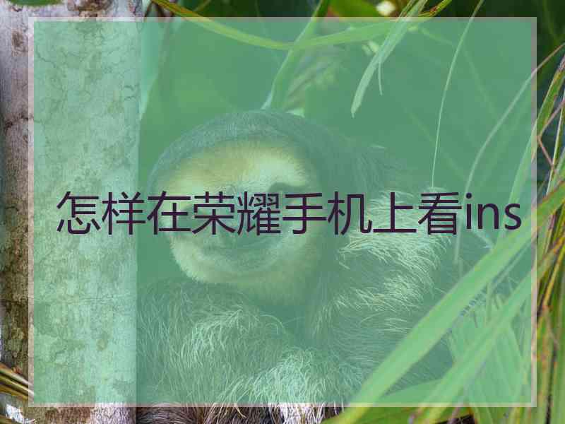 怎样在荣耀手机上看ins