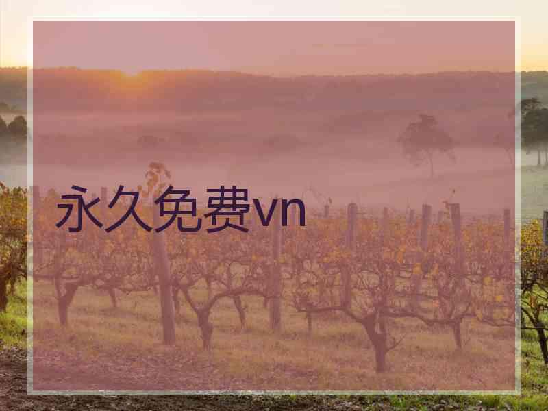 永久免费vn