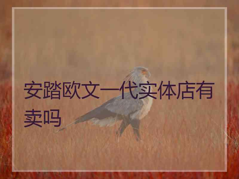 安踏欧文一代实体店有卖吗