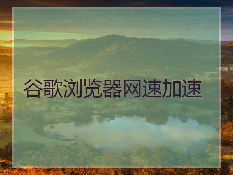 谷歌浏览器网速加速