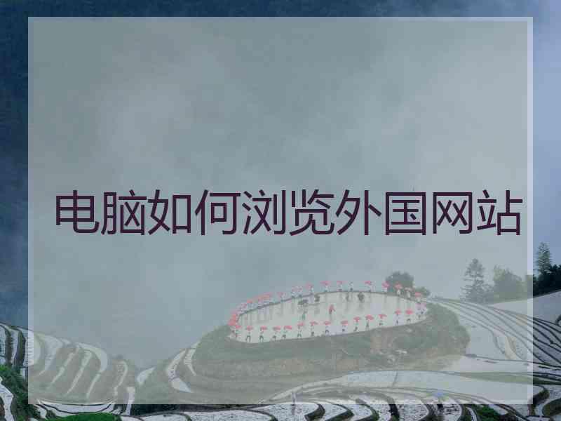 电脑如何浏览外国网站