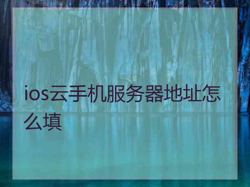 ios云手机服务器地址怎么填