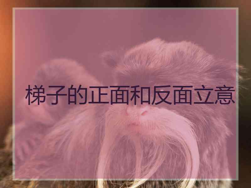 梯子的正面和反面立意