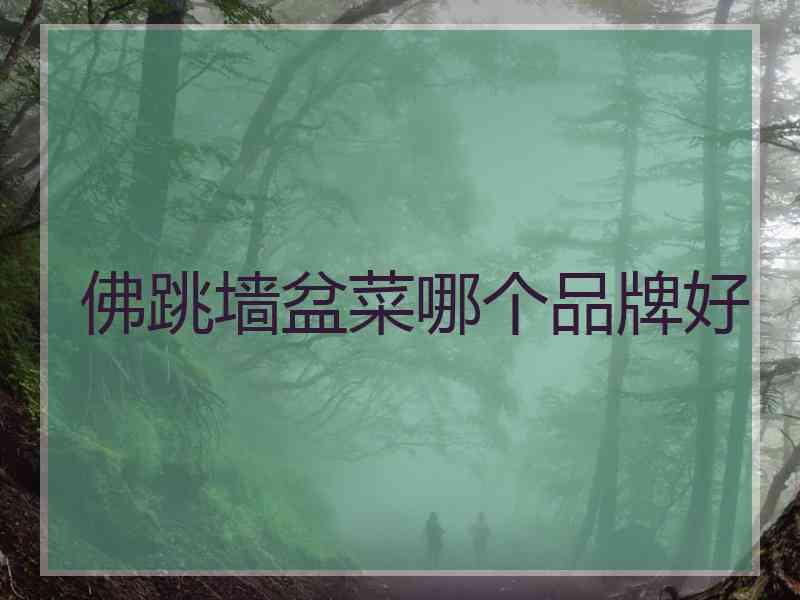 佛跳墙盆菜哪个品牌好