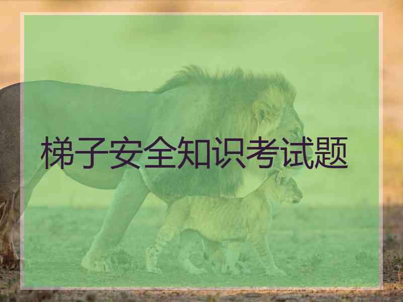 梯子安全知识考试题