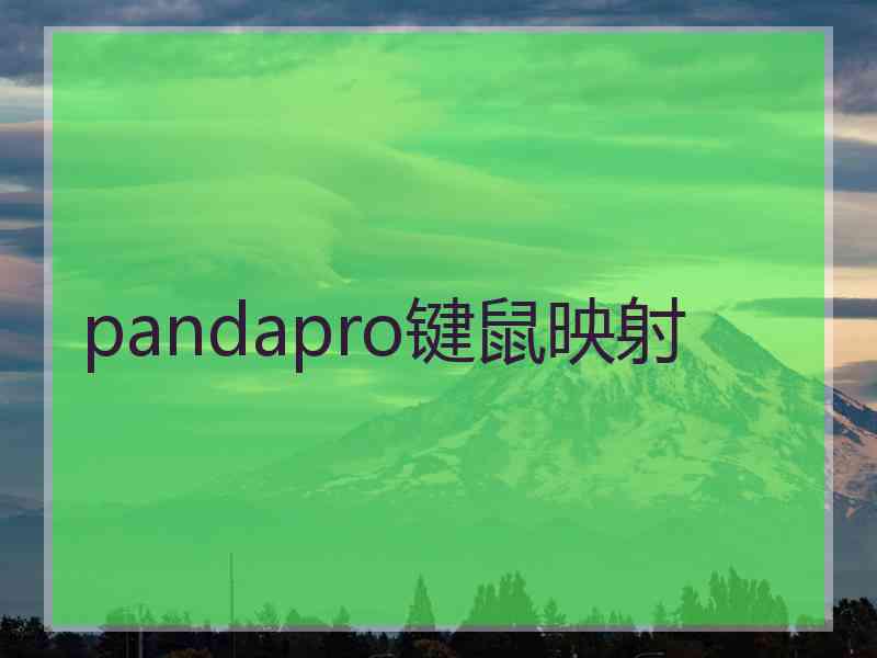 pandapro键鼠映射