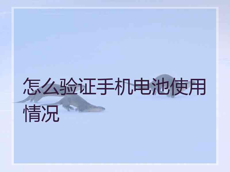 怎么验证手机电池使用情况