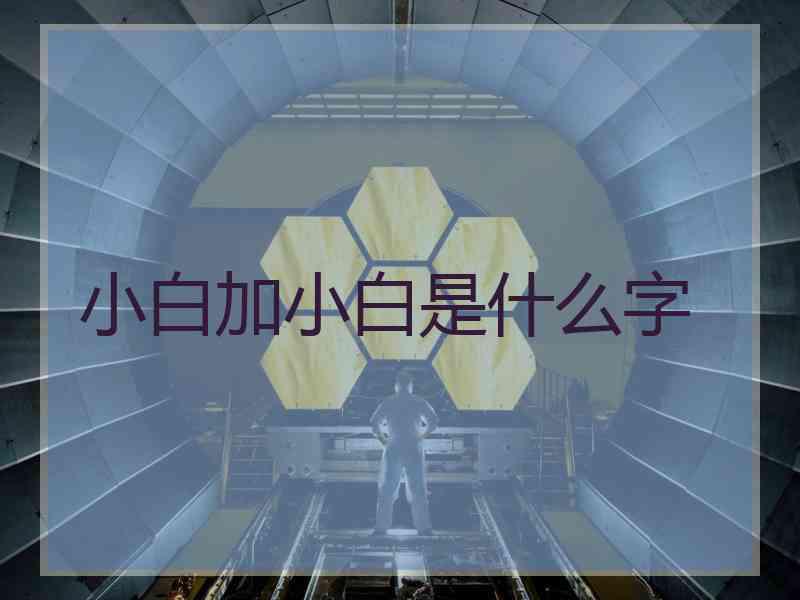 小白加小白是什么字