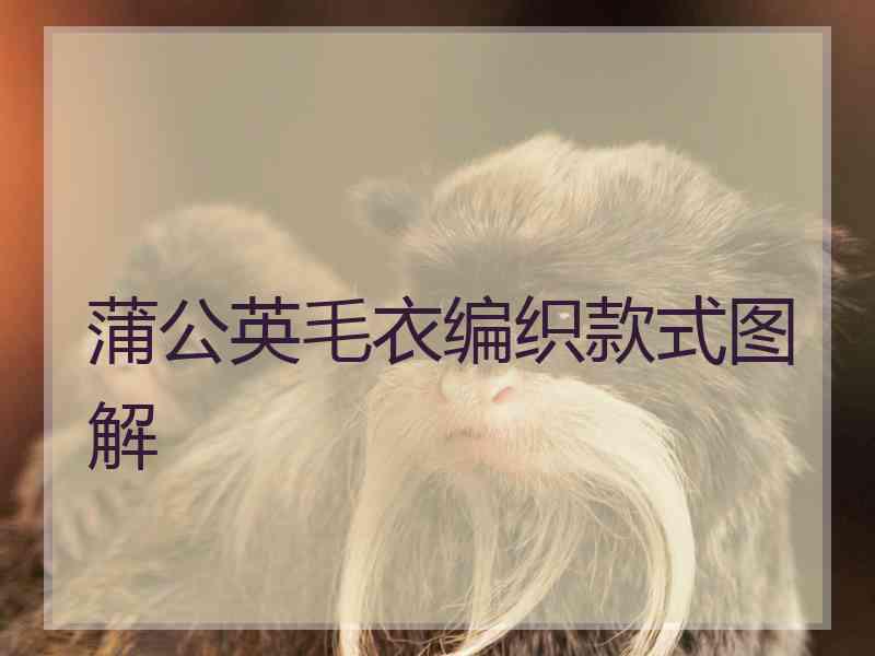 蒲公英毛衣编织款式图解