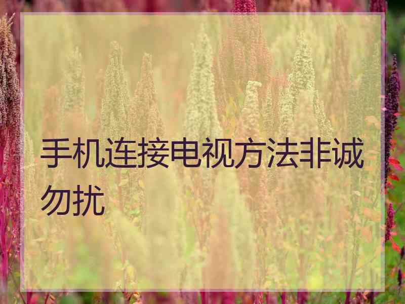 手机连接电视方法非诚勿扰