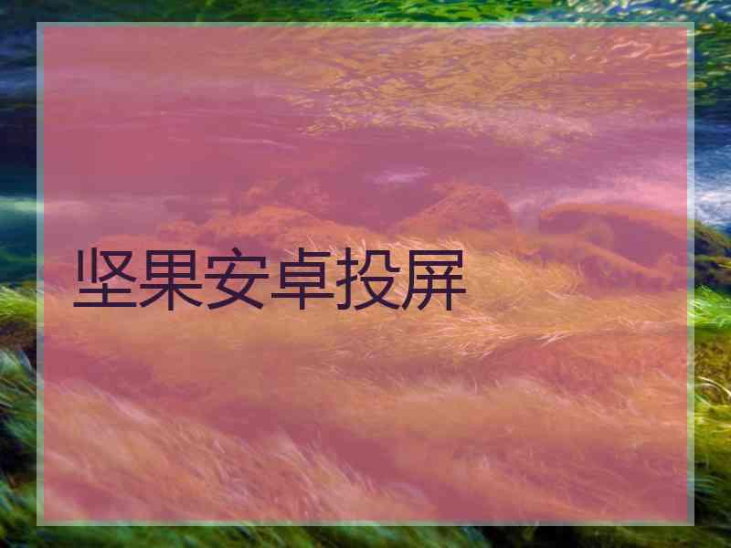 坚果安卓投屏