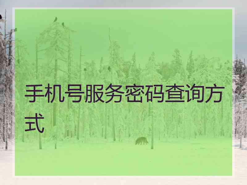 手机号服务密码查询方式