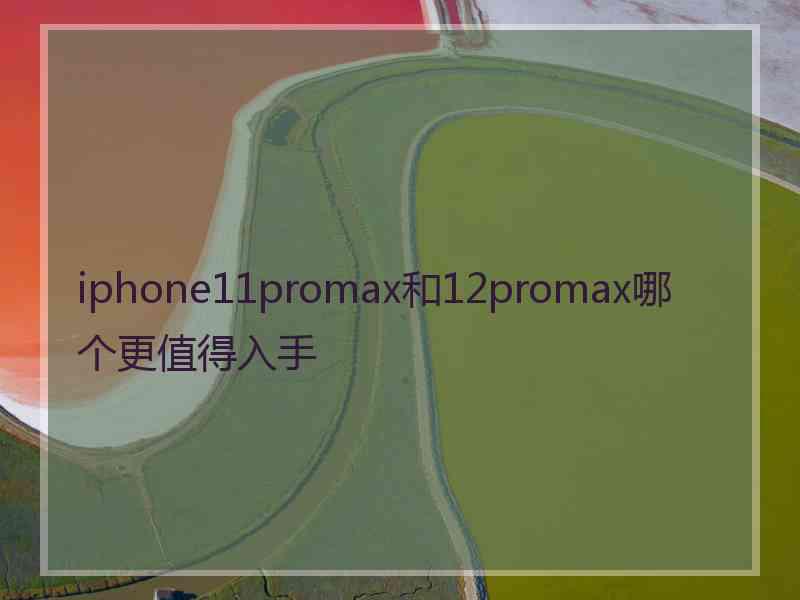 iphone11promax和12promax哪个更值得入手