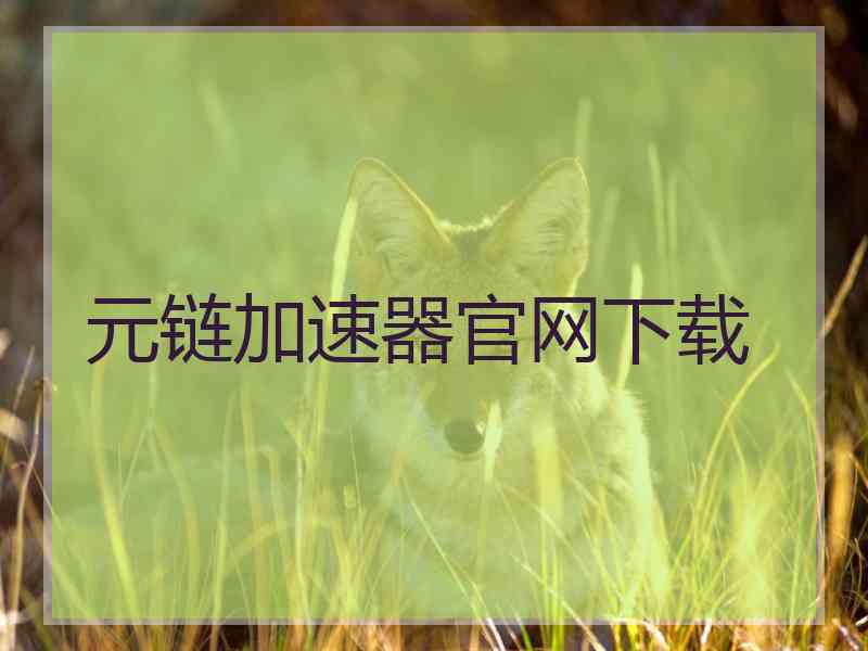 元链加速器官网下载