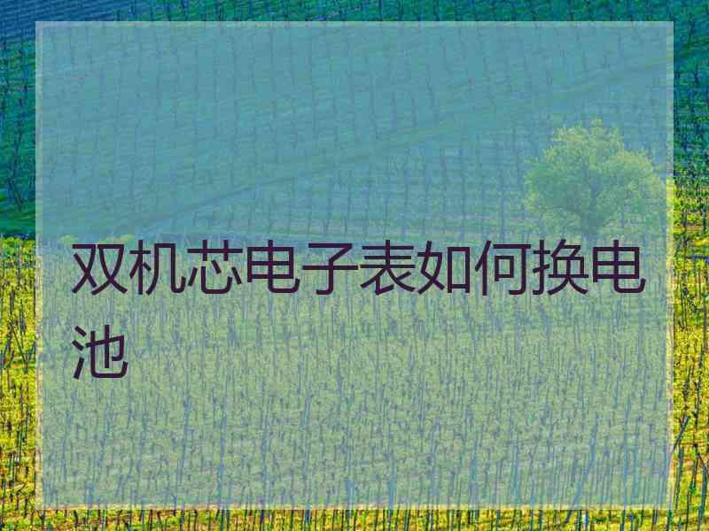 双机芯电子表如何换电池