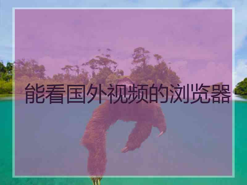能看国外视频的浏览器