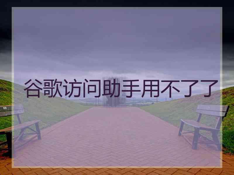 谷歌访问助手用不了了