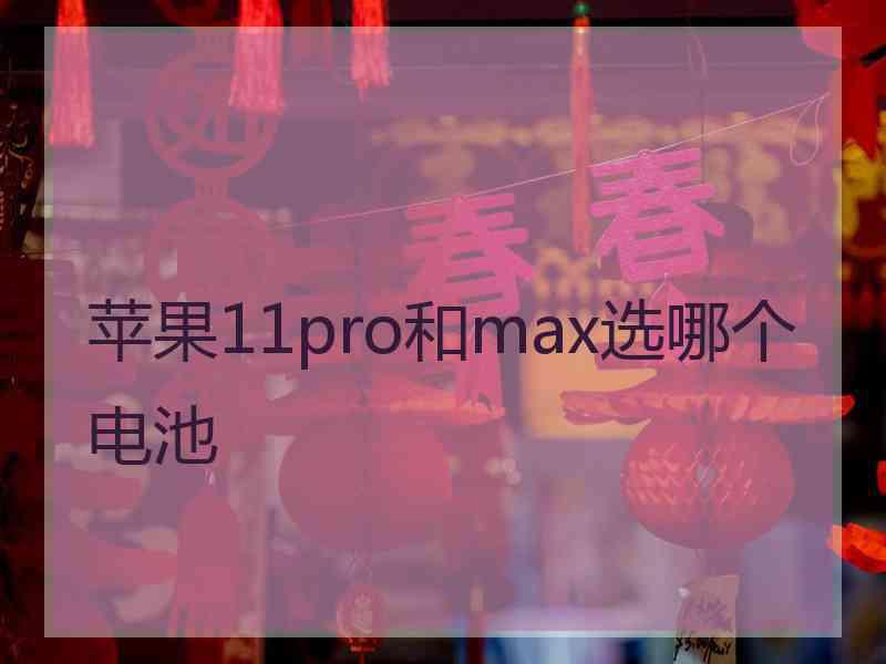 苹果11pro和max选哪个电池