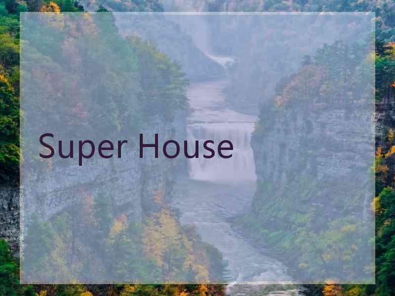 Super House