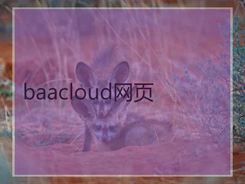 baacloud网页