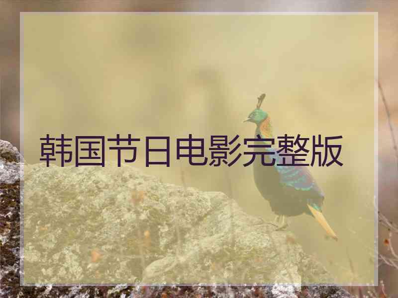 韩国节日电影完整版