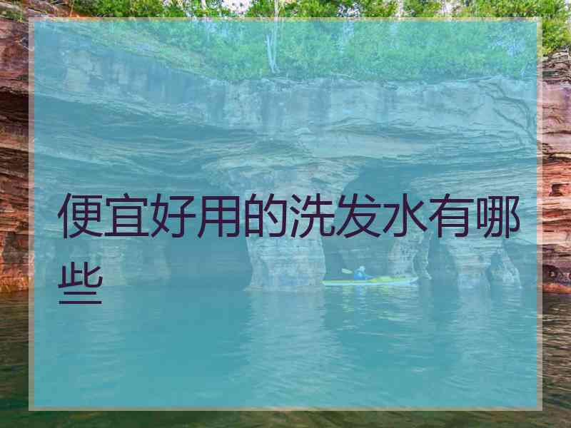 便宜好用的洗发水有哪些