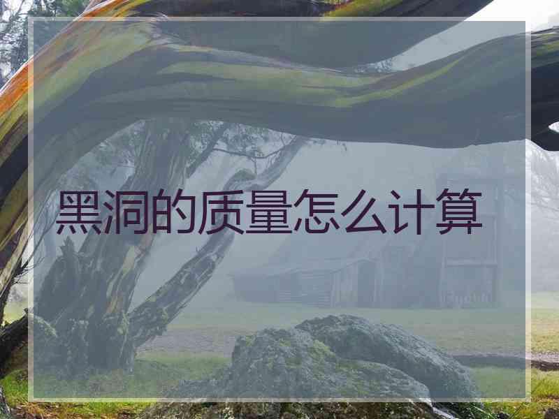 黑洞的质量怎么计算