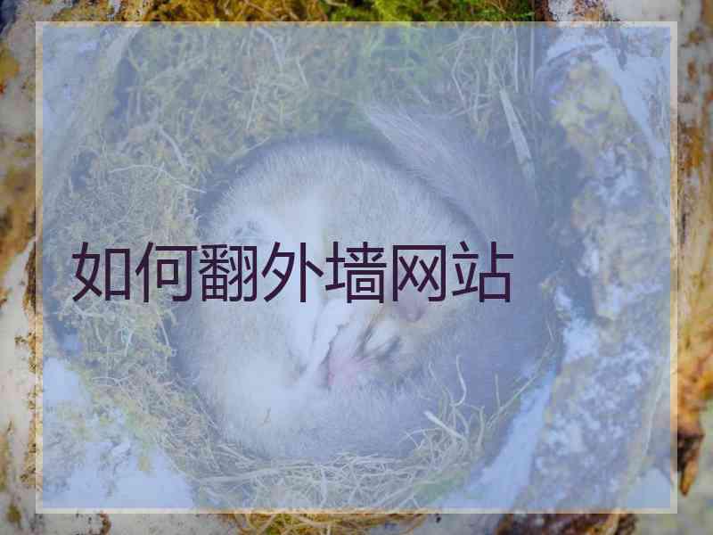如何翻外墙网站