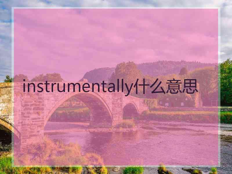instrumentally什么意思