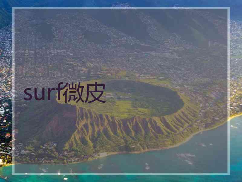 surf微皮