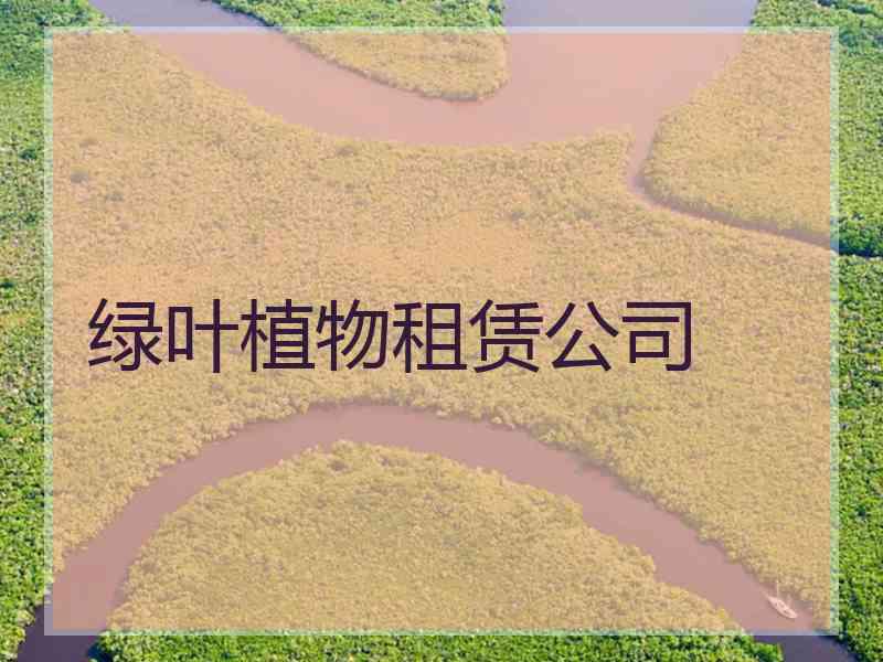 绿叶植物租赁公司