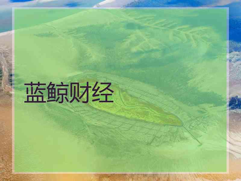 蓝鲸财经