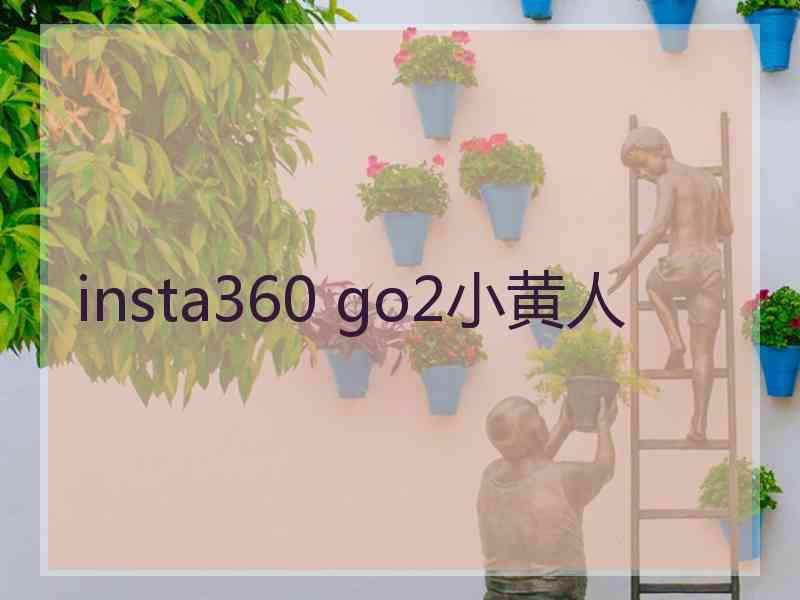insta360 go2小黄人