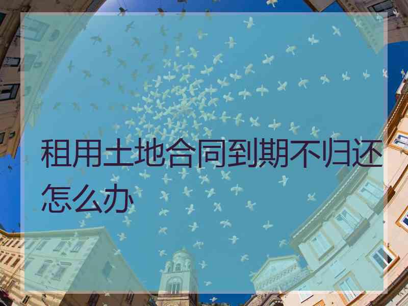 租用土地合同到期不归还怎么办