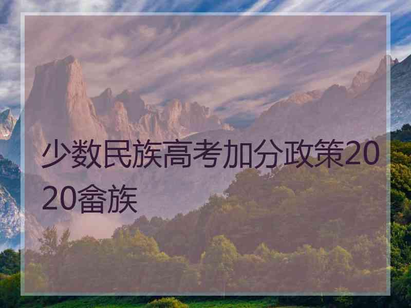 少数民族高考加分政策2020畲族