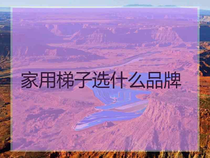 家用梯子选什么品牌