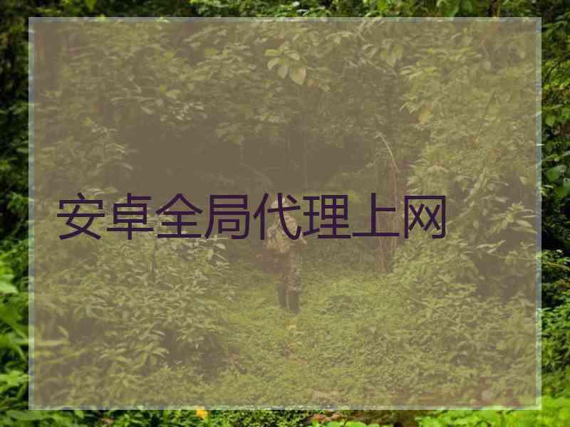 安卓全局代理上网